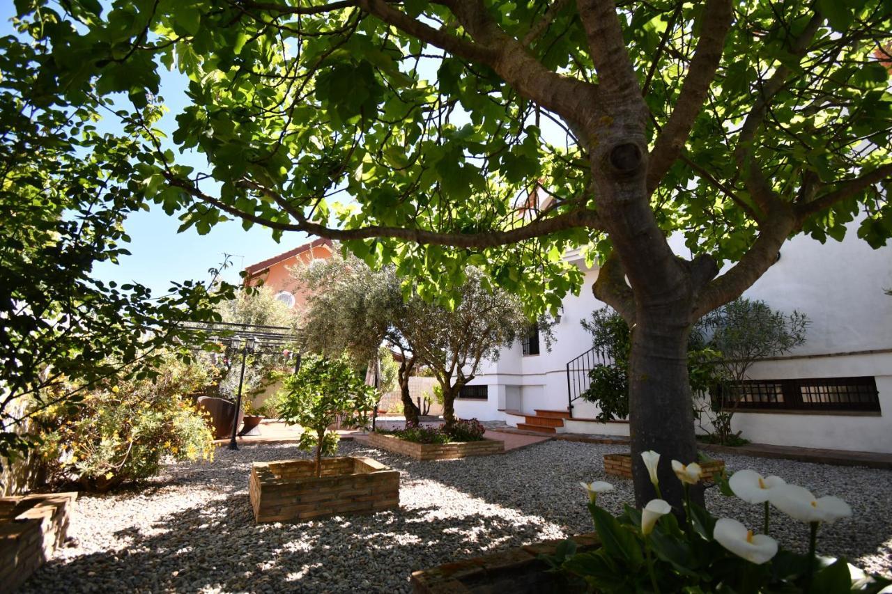 Belicena Villa Maria, Piscina Y Spa Exterior Privado מראה חיצוני תמונה